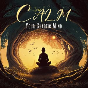 Calm Your Chaotic Mind: Unleashing Your Inner Harmony with Asian Zen Melodies - Mind and Body Sanctuary