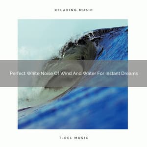 Perfect White Noise Of Wind And Water For Instant Dreams - Noise Gravity