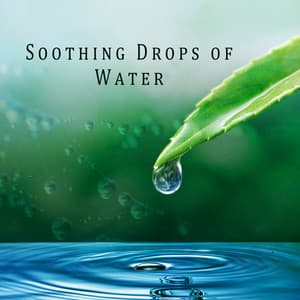 Soothing Drops of Water: Calm Down Your Nerves, Thoughts, and Emotions with Blissful Nature - Close to Nature Music Ensemble