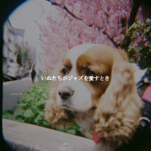 いぬたちがジャズを愛すとき - Jazz Ambiental para Hoteles