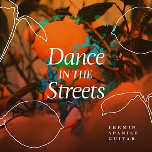 Dance in the Streets - Fermin Spanish Guitar