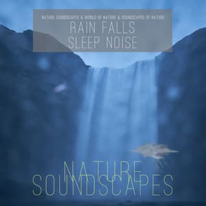 Rain Falls Sleep Noise - Nature Soundscapes