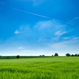 Stress Relief Melodies | Sleep and Chilling Out - The Sleep Helpers