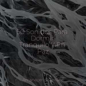 50 Sonidos Para Dormir Tranquilo Y En Paz - Instrumental