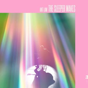 The Sleeper Wakes - Ant Law