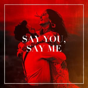 Say You, Say Me - Best Love Songs
