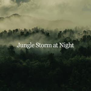 Jungle Storm at Night - Mother Nature Sound FX