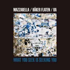 What You Seek is Seeking You - Nick Mazzarella