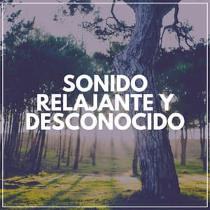 Sonido Relajante y Desconocido - Música Relajante Para Leer