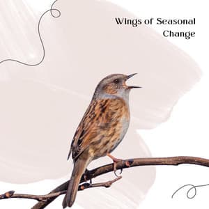 Wings of Seasonal Change - Orionavi