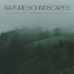 Nature Soundscapes: A Relaxing Forest Environment For Your Spa Day - Earth Melody