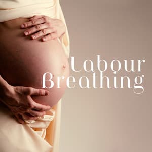 Labour Breathing - Jane Groud