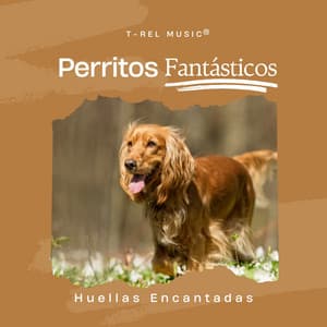Huellas Encantadas - Perritos Fantásticos