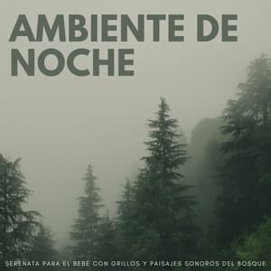 Ambiente De Noche: Serenata Para El Bebé Con Grillos Y Paisajes Sonoros Del Bosque - Grillos del bosque
