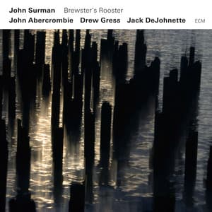 Brewster's Rooster - John Surman