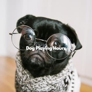 Dog Playing Hours - Soft Jazz Romance