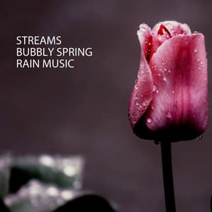 Streams: Bubbly Spring Rain Music - Rain Hive
