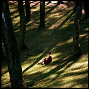 1 Divine: Echoes Revived - Spa Music Relaxation