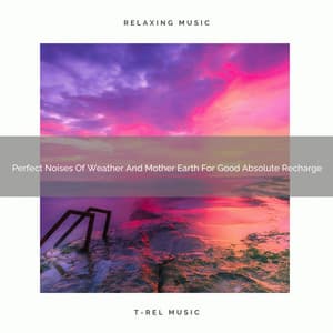 Perfect Noises Of Weather And Mother Earth For Good Absolute Recharge - Noise Makers