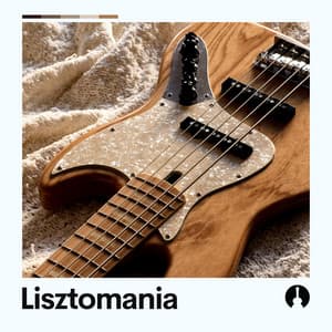 Lisztomania - Meditation Zen
