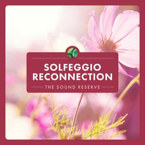 Solfeggio: Reconnection - The Sound Reserve