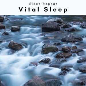 1 Vital Sleep - Sleep Repeat