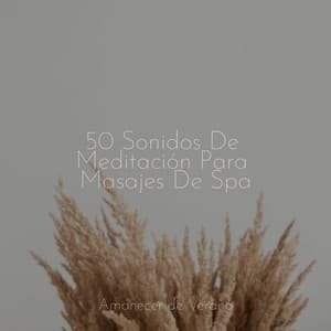 50 Sonidos De Meditación Para Masajes De Spa - Spa