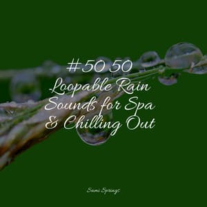 #50 50 Loopable Rain Sounds for Spa & Chilling Out - Lluvia PQ