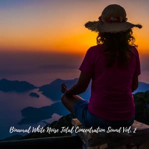 Binaural White Noise Total Concentration Sound Vol. 2 - Water Sound Natural White Noise