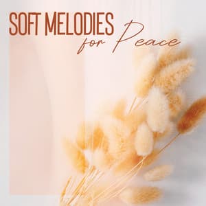 Soft Melodies for Peace - Coffee Lounge Collection