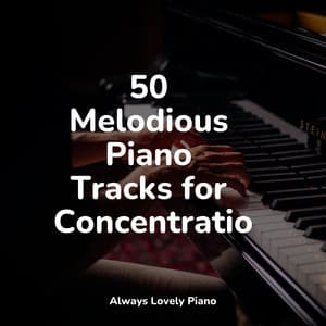 Calming Sounds | Focused Work and Study - Chillout Jazz Collective