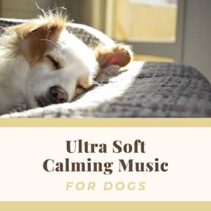 Ultra Soft Calming Music for Dogs - Dog Whisper