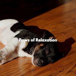 Paws of Relaxation - Französische Cafe Musik