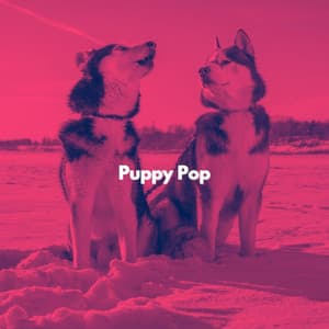 Puppy Pop - Música Tranquila para Bares