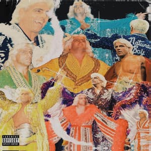 Flair 4 The Gold - Mickey Diamond