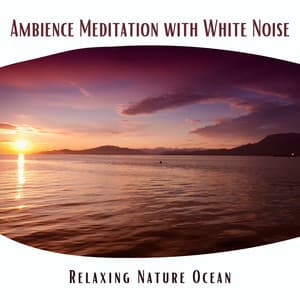 Relaxing Nature Ocean Ambience Meditation with White Noise, Loopable - Ocean Waves Sleep Aid