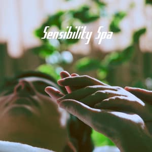 Sensibility Spa - Relaxing Mindfulness Meditation Relaxation Maestro