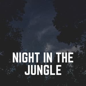 Night in the Jungle - Nature Sound Series