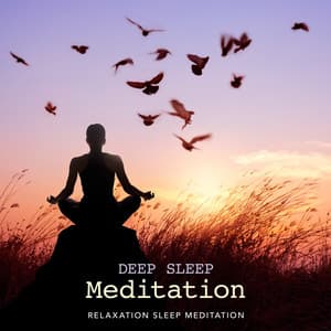 Deep Sleep Meditation - Relaxation Sleep Meditation