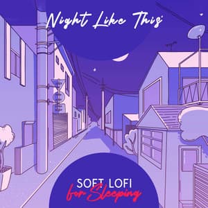 Night Like This: Soft Lofi for Sleeping - Siesta Electronic Chillout Collection