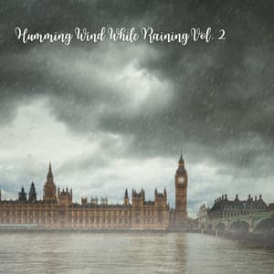 Humming Wind While Raining Vol. 2 - Natural Woodland Sounds