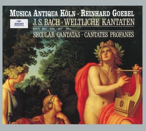 Bach: Secular Cantatas, BWV 36c, 201, 206, 207, Quodlibet BWV 524 - Johann Sebastian Bach
