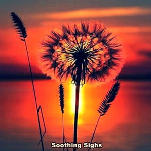 Soothing Sighs - Ganster Hip-Hop-Rap