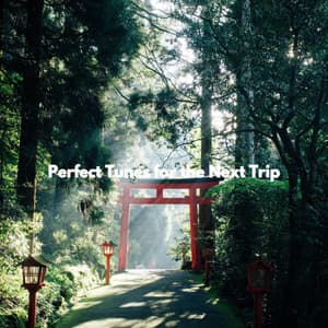 Perfect Tunes for the Next Trip - Spanish Cafe Music