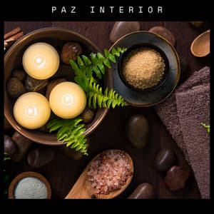 Paz Interior - Musica Relaxante