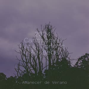 2024 Canciones Para Dormir Al Bebé - Musica romantica instrumental
