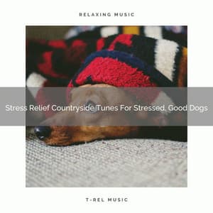 Stress Relief Countryside Tunes For Stressed, Good Dogs - Pets Total Relax