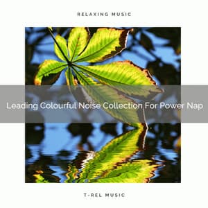Leading Colourful Noise Collection For Power Nap - Baby White Noise