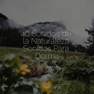 40 Sonidos de la Naturaleza Sonidos Para Dormir - Naturaleza Relajacion