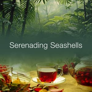 Serenading Seashells - Rain Sounds For Sleep